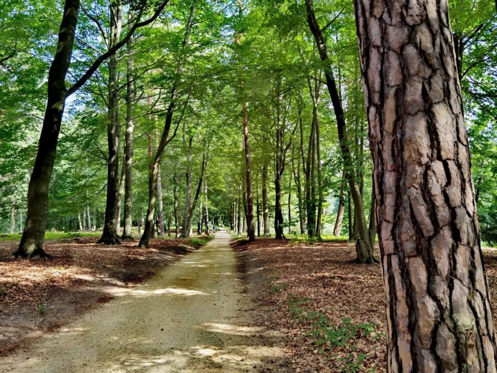 Genussvoll durch den Kromlauer Park spazieren