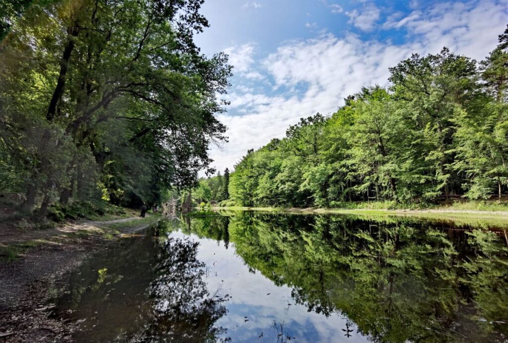 Der Rakotzsee im Kromlauer Park