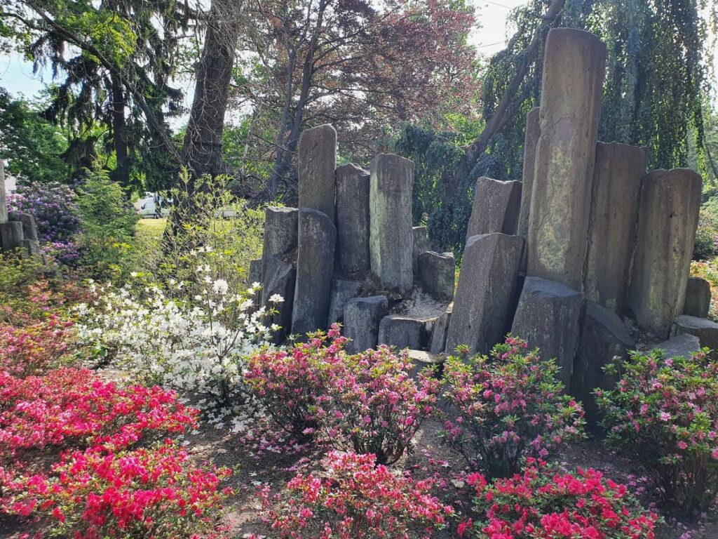 Rhododendrenpark Kromlau Blütezeit